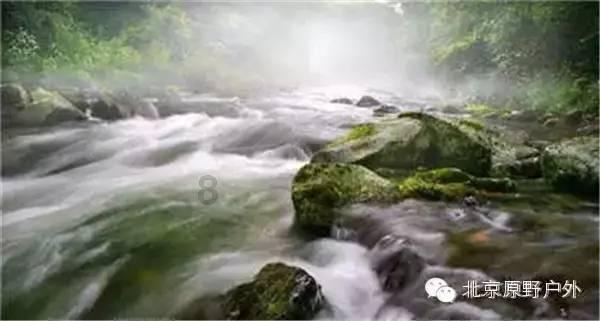 救援可怜的穴居人